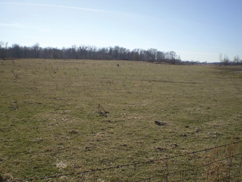 Property photo 14 - 159 Acres Offered in 7 Tracts